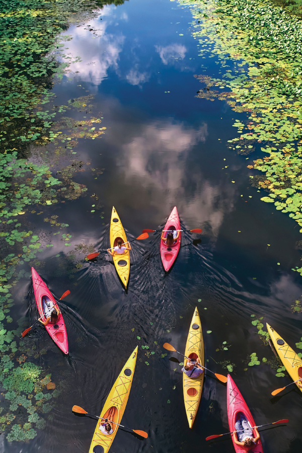 Aerial drone bird's eye view photo of people enjoying kayak ride on beautiful river