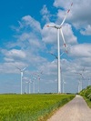 Wind turbines in a field