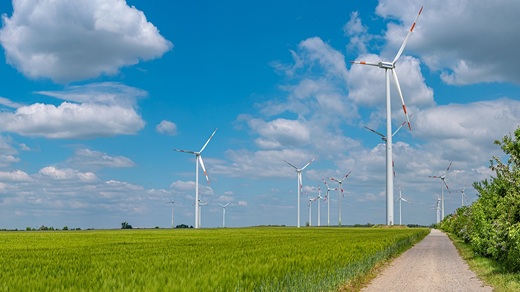 Wind turbines in a field