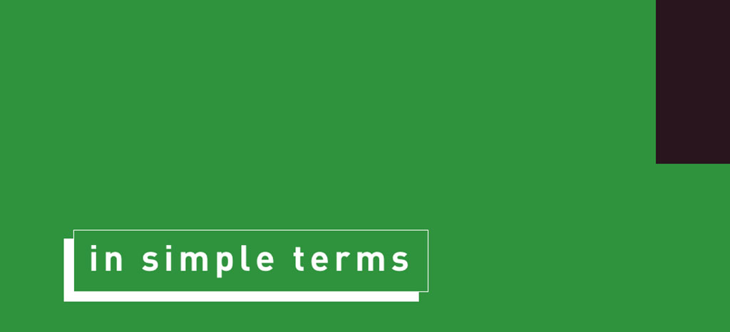 IN SIMPLE TERMS: A “SUSTAINABLE” MINI-BOND
