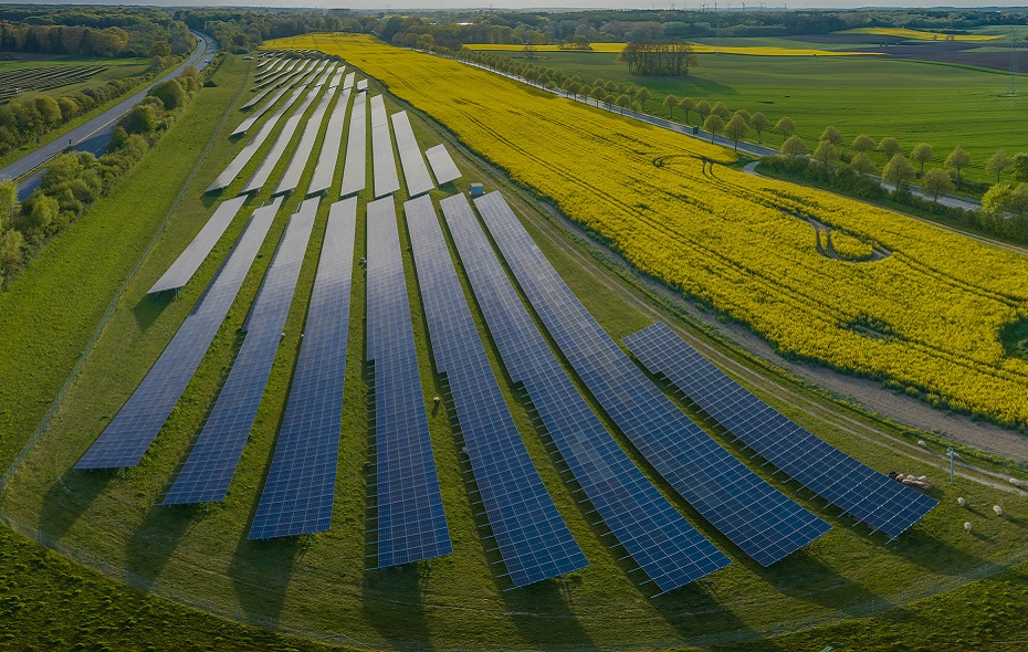 Solar plant in a green field